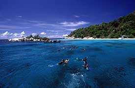 Phuket scuba diving Day trip thailand diving vacation tour Phi Phi Island and Similan