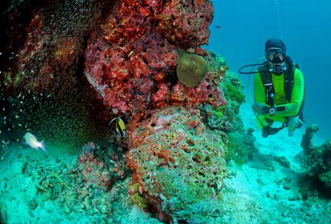 Danni Tauchsafari Similan Islands in Phuket Thailand Danni Tauchen in Similan Islands