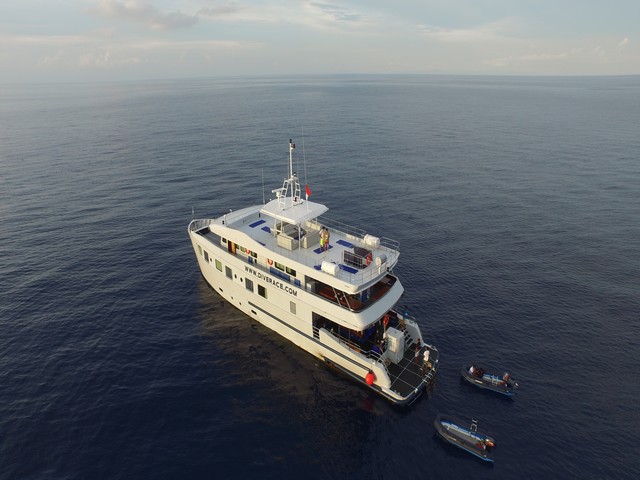 Diverace - Similan Islands Liveaboard