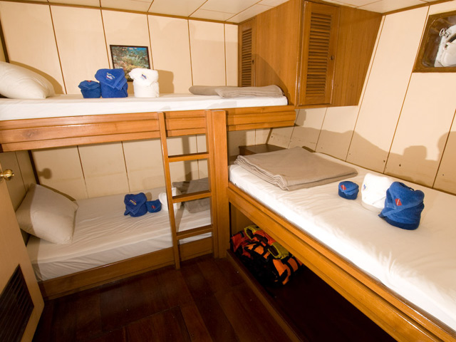 Triple cabin for shared bookings