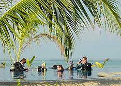 Phuket PADI IDC/CDC diving courses in Similan Thailand mit Dive asia